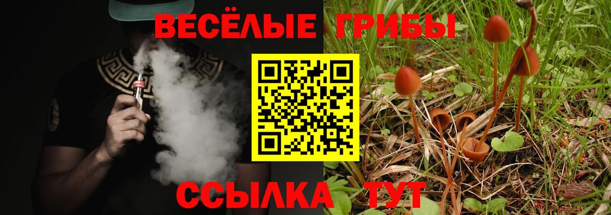 Псилоцибиновые грибы MAGIC MUSHROOMS Лосино-Петровский