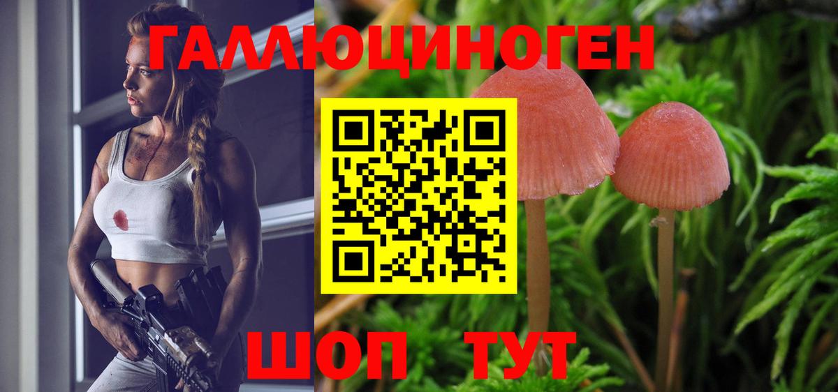 Псилоцибиновые грибы MAGIC MUSHROOMS  Вход с VPN  Лосино-Петровский  Галлюциногенные грибы мицелий 